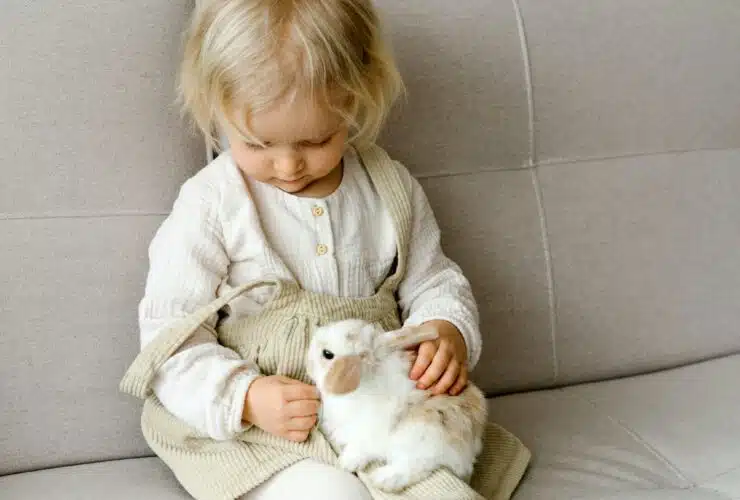 bébé fille sur un canapé caresse lapin maman vogue